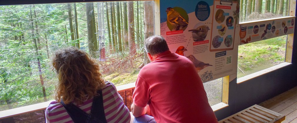 A couple sitting in a nature hide looking out through the window at the forest beyond