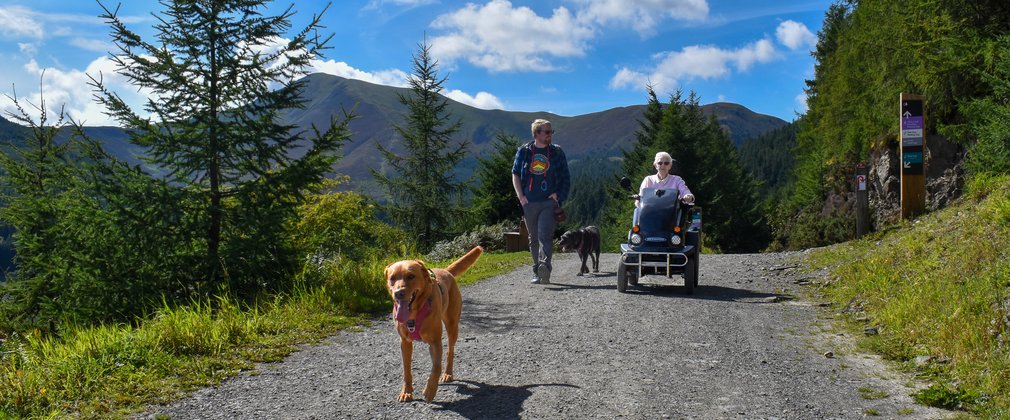 A dog walking along a trail with two adults behind - one walking and one using an off-road mobility scooter