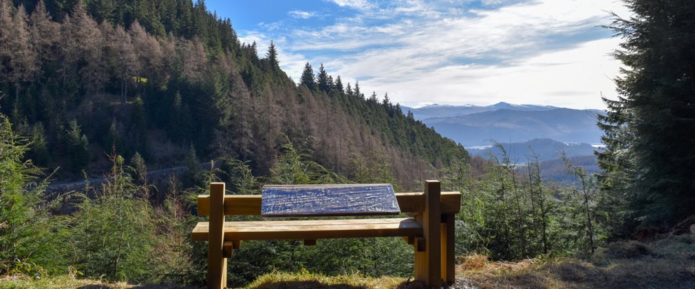 A bench overlooking a forest scene with mountains beyond