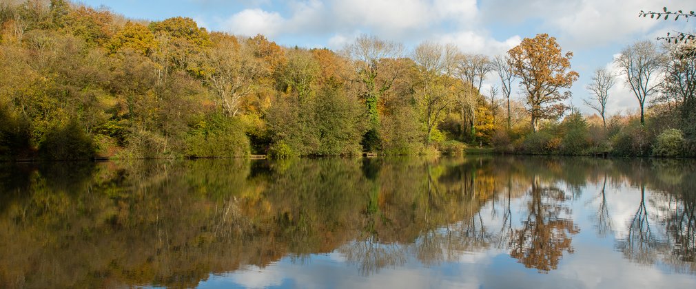 Wych Lodge river backed by trees