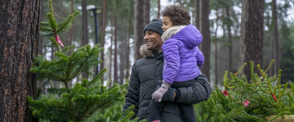 Christmas tree shopping in the forest