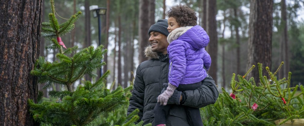 Christmas tree shopping in the forest 