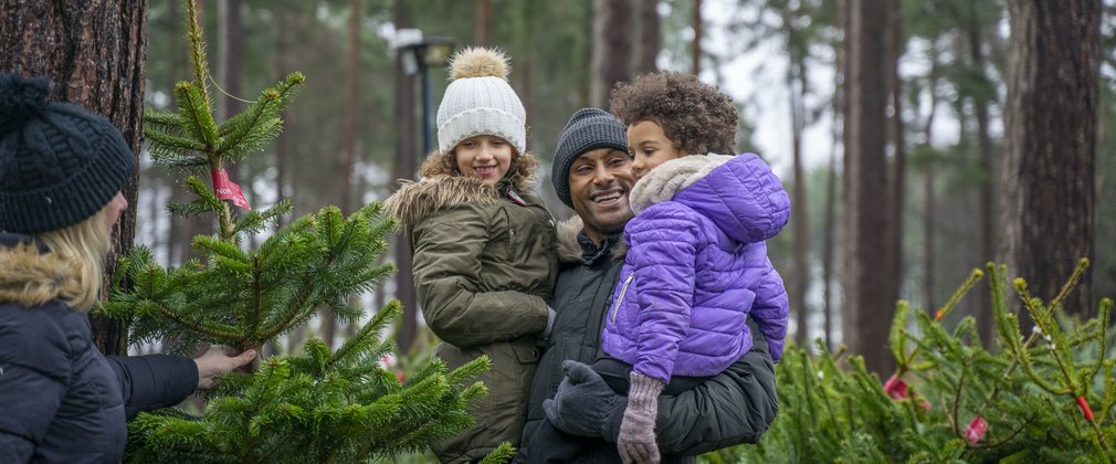 Family picking christmas tree in forest