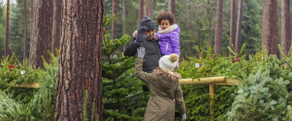 Family shopping for Christmas trees 