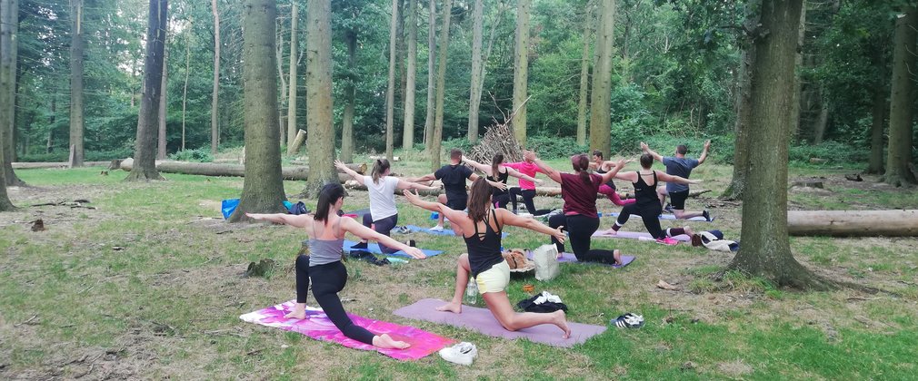 Group doing yoga among the trees in the forest