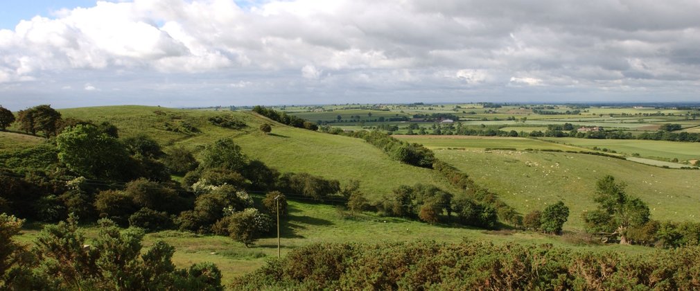 Green rolling hills in the countryside with blue skies 