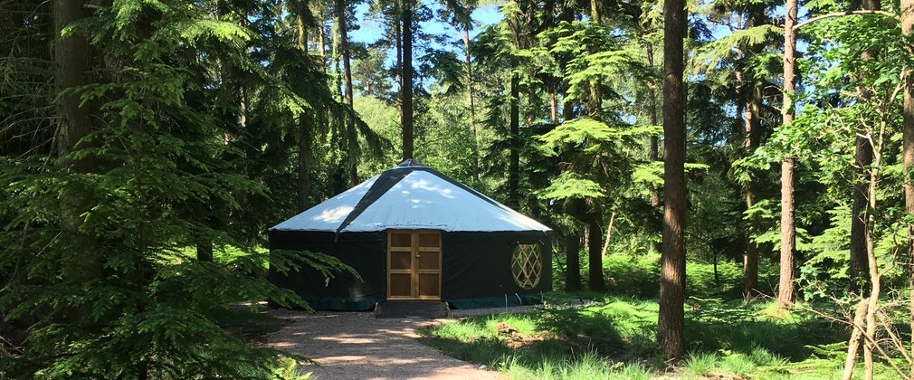 Outside of yurt in the forest