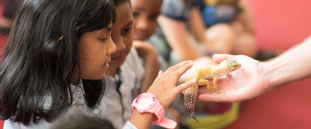 An adult holding a lizard for young children to look at.