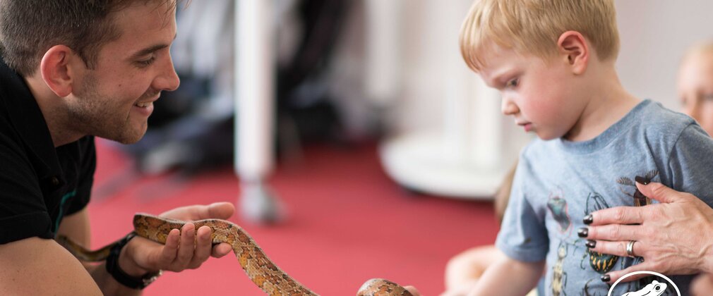Young boy touching a snake
