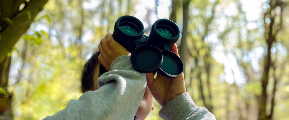 Child looking up through binoculars in a woodland setting, in dappled sunlight surrounded by trees with bright green leaves.