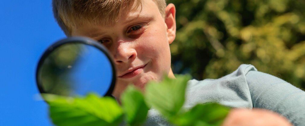 Child looking through a magnifying glass at leaves in bright sunlight with a blue sky and trees behind.
