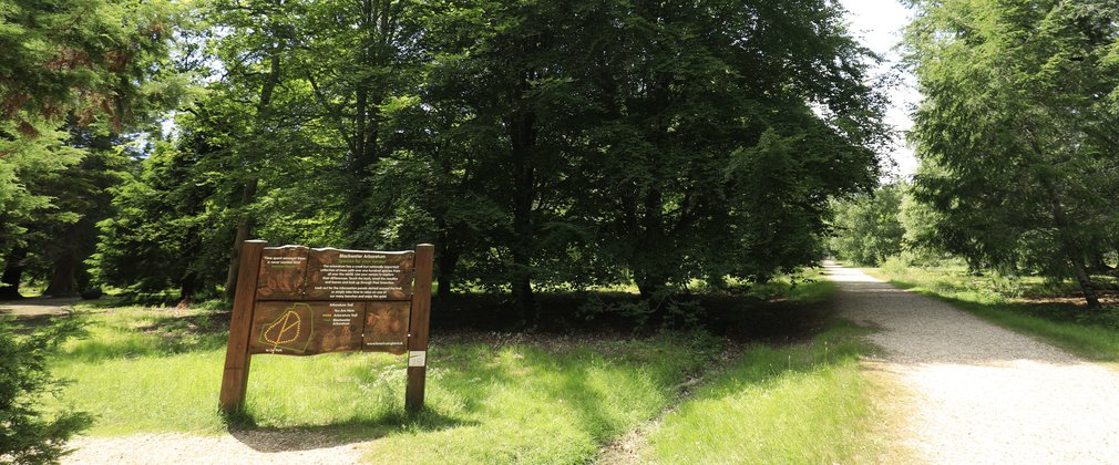 A view of the sign, path and trees at the entrance of Blackwater Arboretum