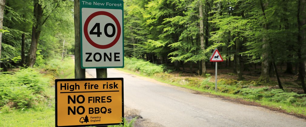 A Forestry England high fire risk sign displaying No Fires and No BBQs on a roadside in the New Forest