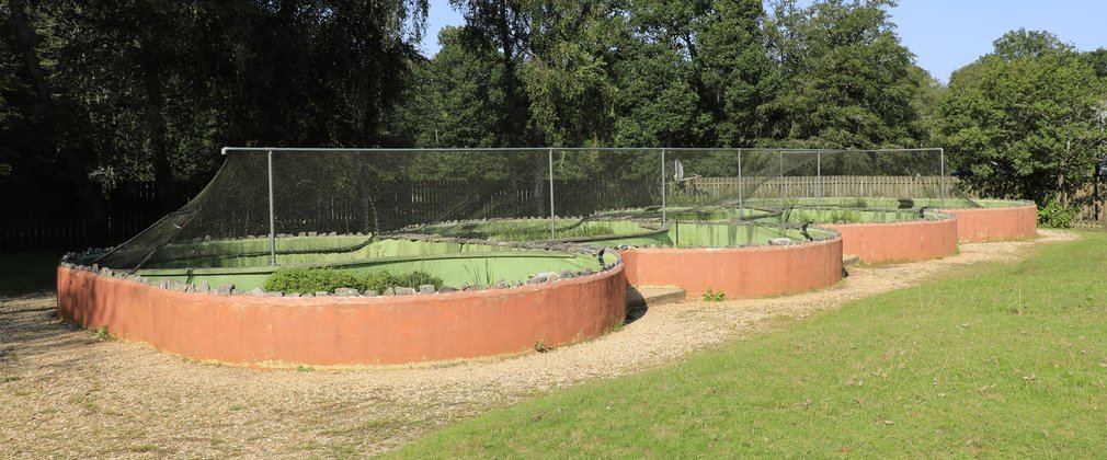 A view of the pods at the New Forest Reptile Centre