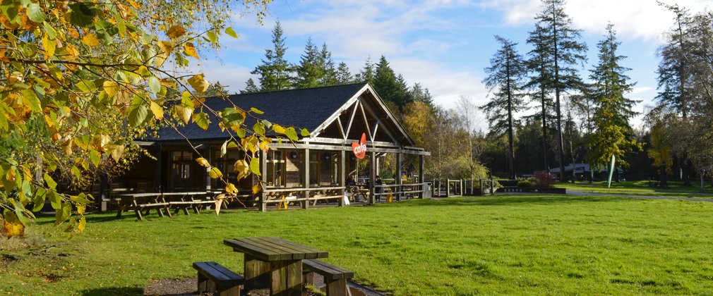 An autumn view of the cafe at Alice Holt Forest