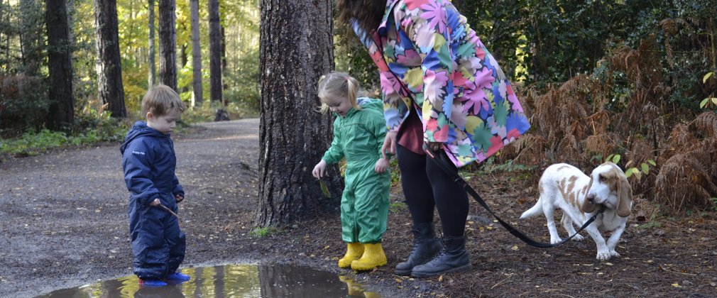 Children playing in puddles on a forest trail at Alice Holt Forest 