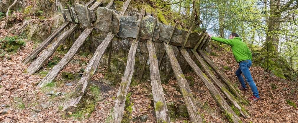 Grizedale Cliff Structure, Richard Harris