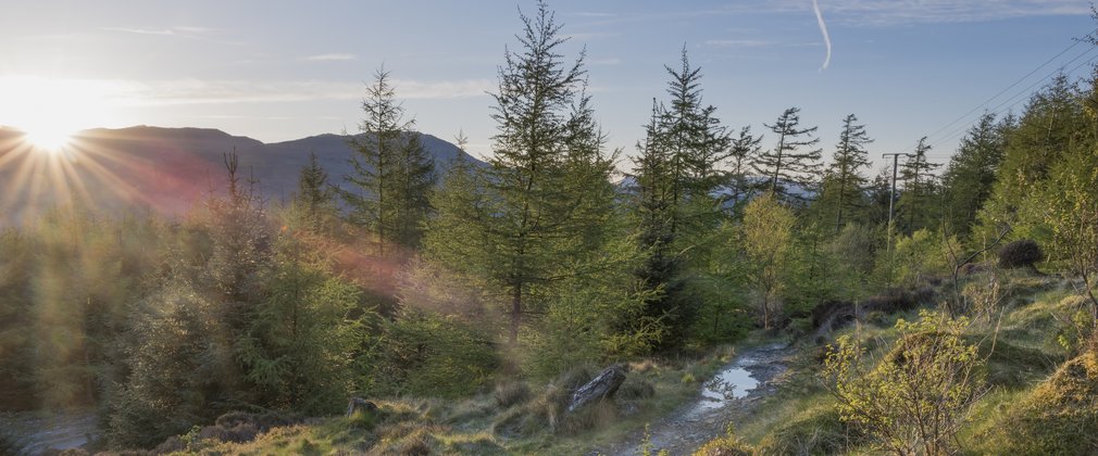sun shining past mountains and through trees