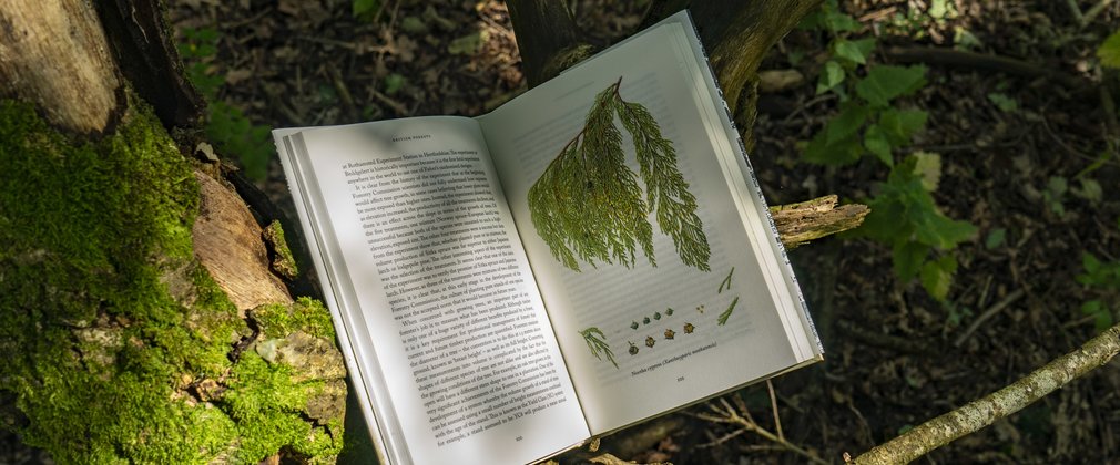 Centenary book