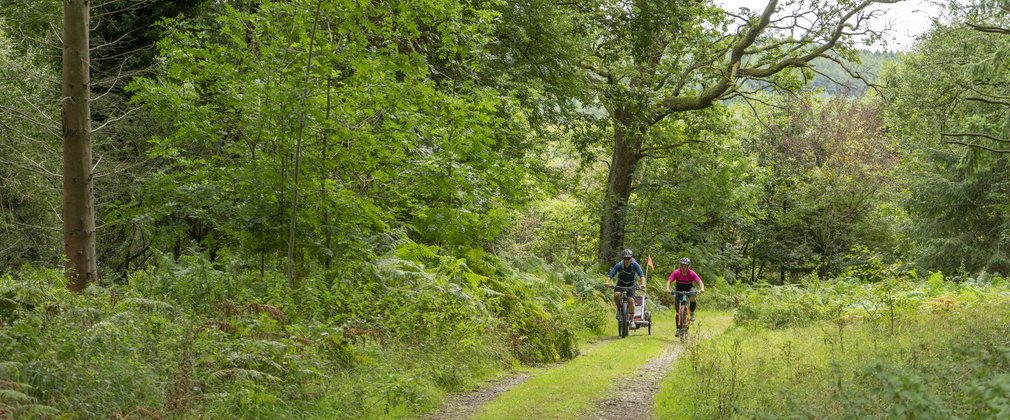 Family cycling on trail