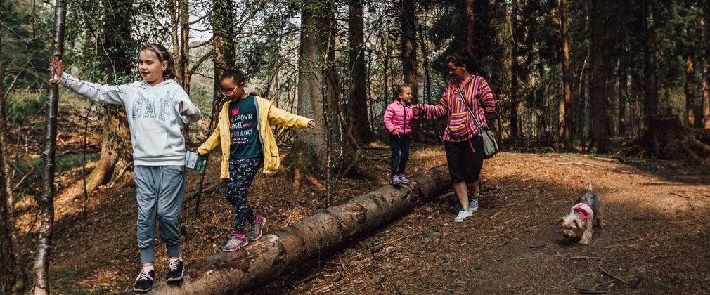 Kids playing on log