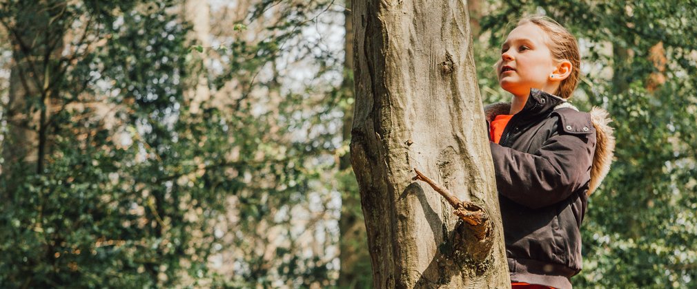 A girl is examining a tree trunk in a forest