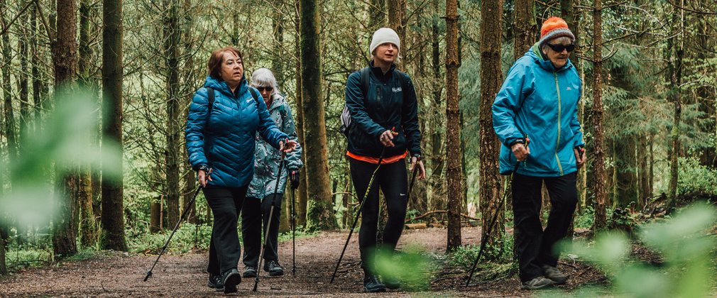 A group of Nordic walkers walking through a young conifer plantation