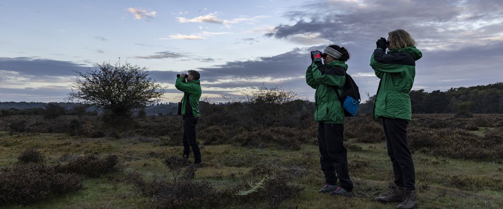 Rangers patrolling the deer rut areas early in the morning