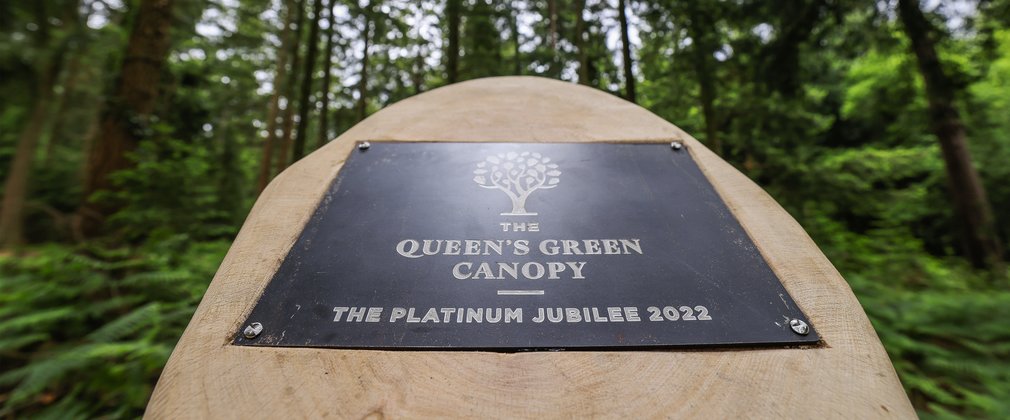 A plaque for The Queen's Green Canopy at Bolderwood