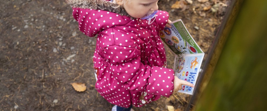 Activity trail with little girl