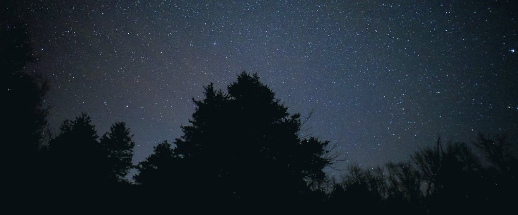 Stars in Night Sky