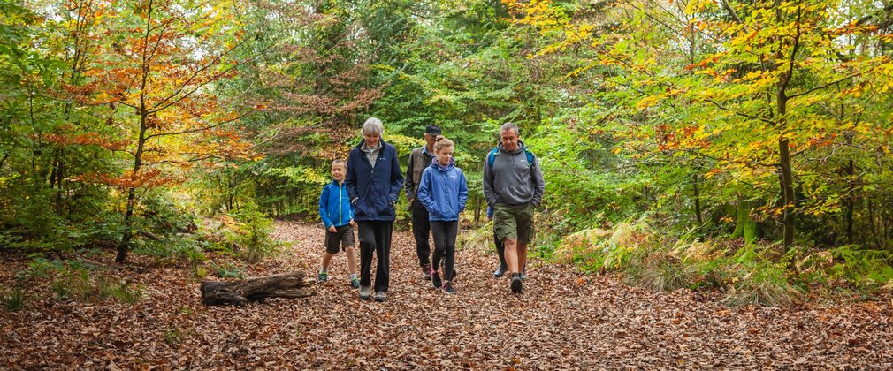 Two children and three adults walking in the autumn forest.