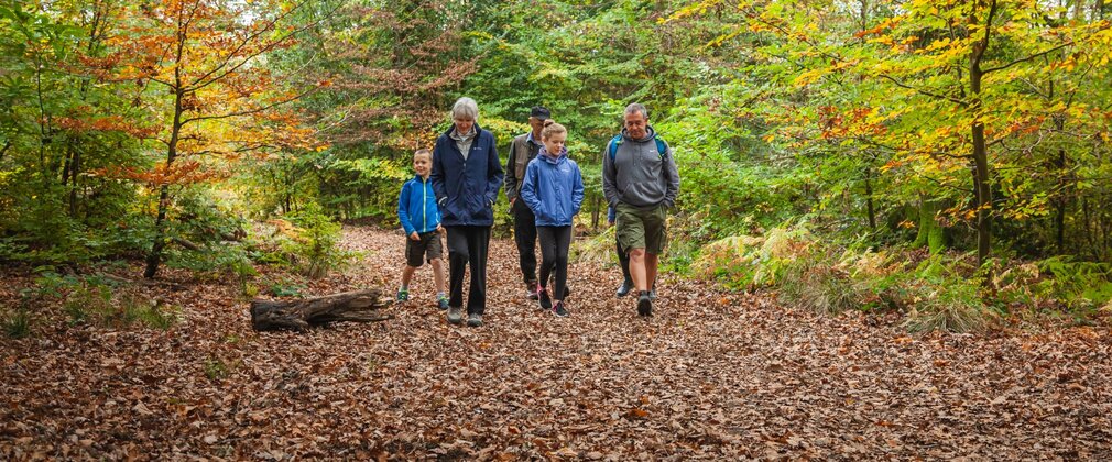 Two children and three adults walking in the autumn forest.
