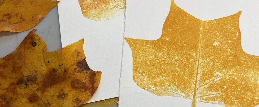 Leaves and prints made from them on card