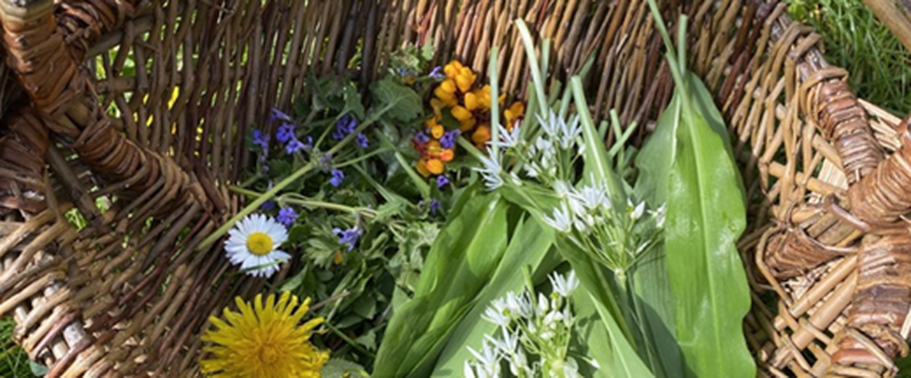 basket of foraged woodland foods
