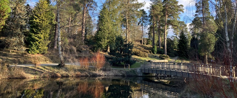 Bedgebury National Pinetum Marshalls Lake Bridge