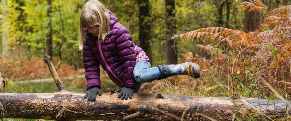 A girl wearing coat and wellies climbs over a fallen branch in an autumn forest.