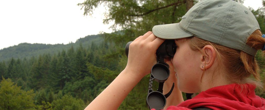 Bird watching in the forest 