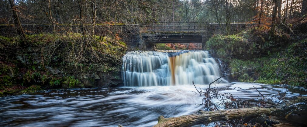 A small waterfall in the forest.