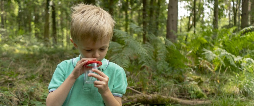 Boy holding bug pot