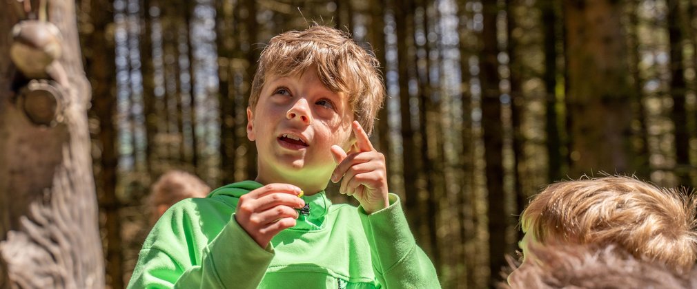 A boy in a green jumper is pointing to something in the forest