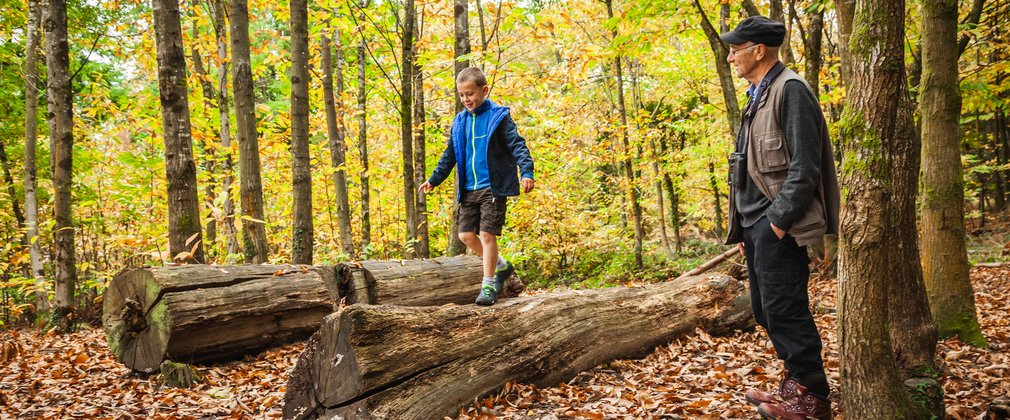 Boy climbing tree