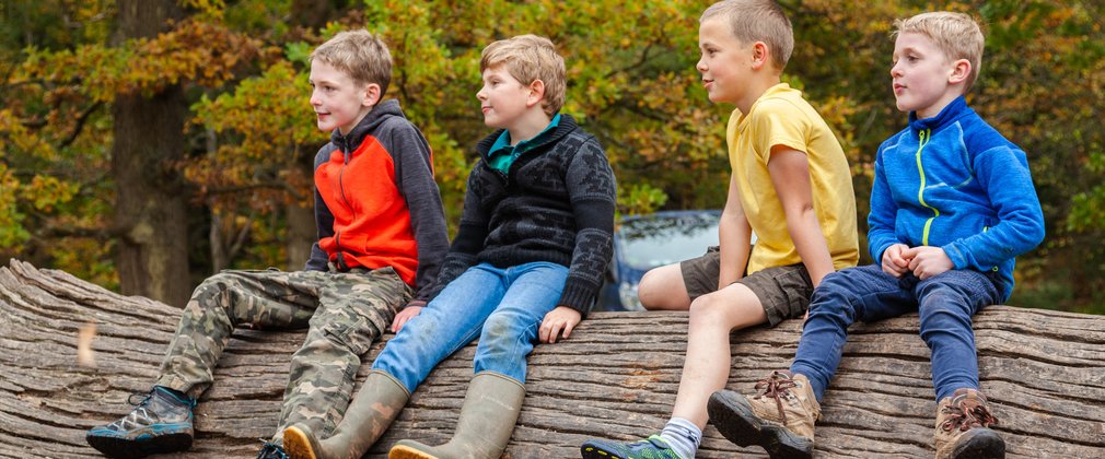 Four boys sitting on a fallen tree trunk in the forest.