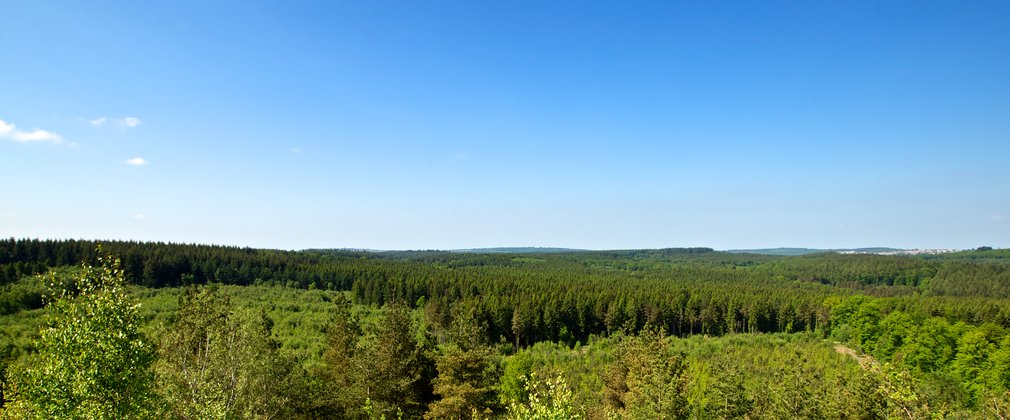 Viewpoint at New Fancy, Forest of Dean