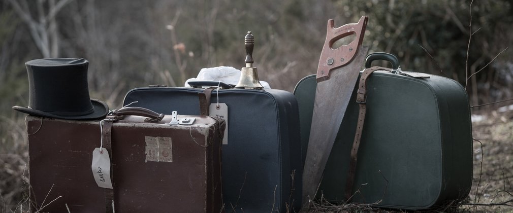Old suitcases on a forest floor