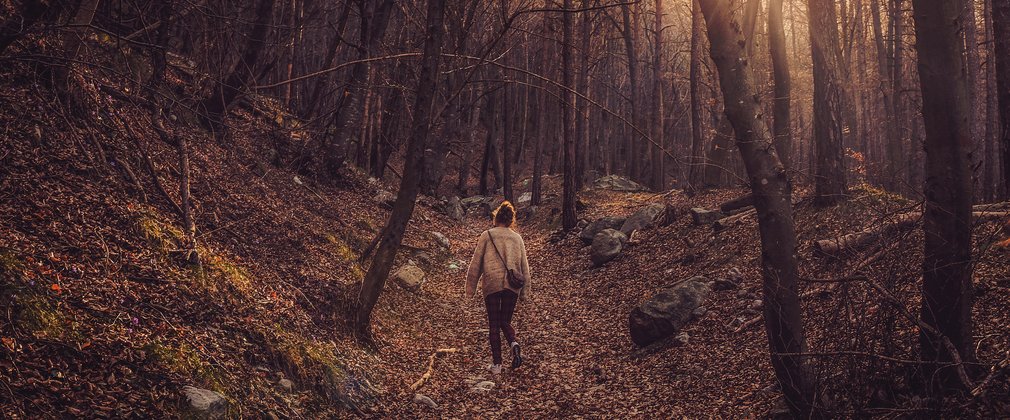Woman Alone in Forest