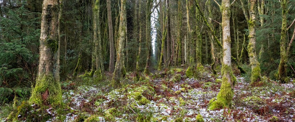 Frosty crosscliff at Dalby forest taken by Tony Bartholomew