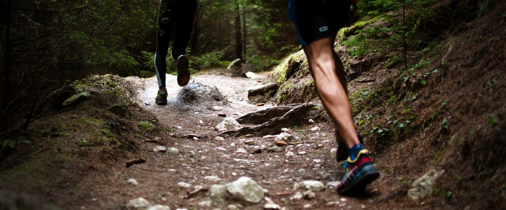 Trail runners in the forest