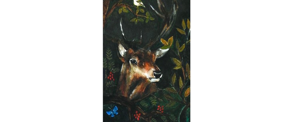 deer illustration