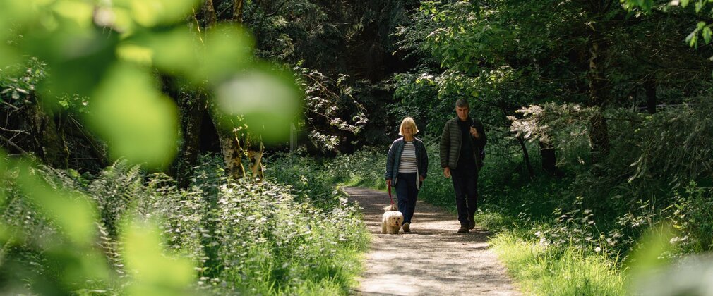 Man and woman walking dog along a path through forest